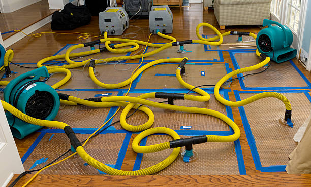 Professional Crawl Space Water Removal technician working in Pilot Mound, IA